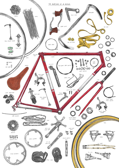 Anatomy-of-Bike-