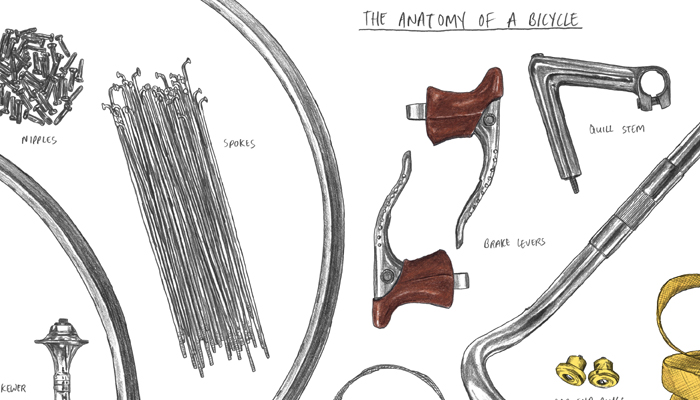 Anatomy-of-Bike-02